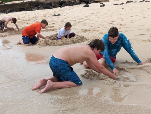 Playing on the beach