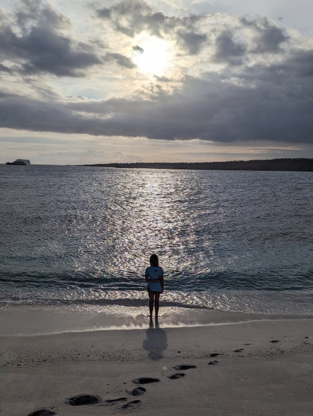 Gazing at the sunset