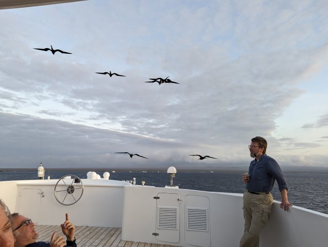 Frigate birds and whiskey