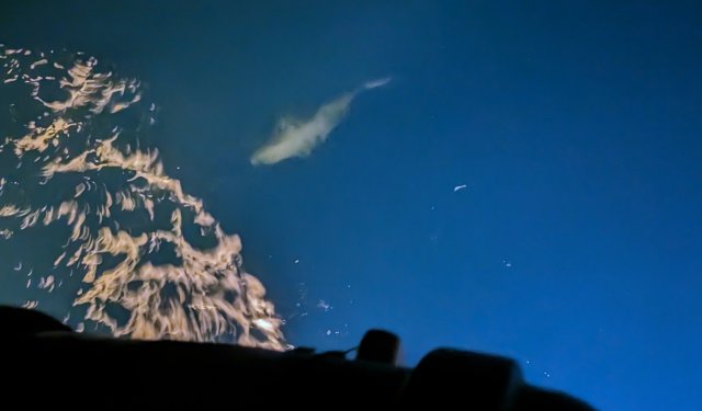 Shark off the side of the boat