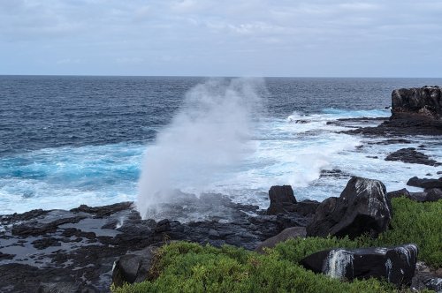 Blowhole