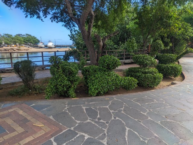 Galapagos topiary