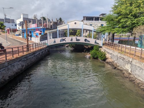 Galapagos bridge