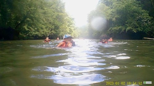Float float float